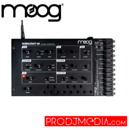 Moog Werkstatt-01 y CV Expander Kit Sintetizador
