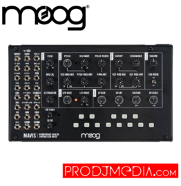 Moog Mavis