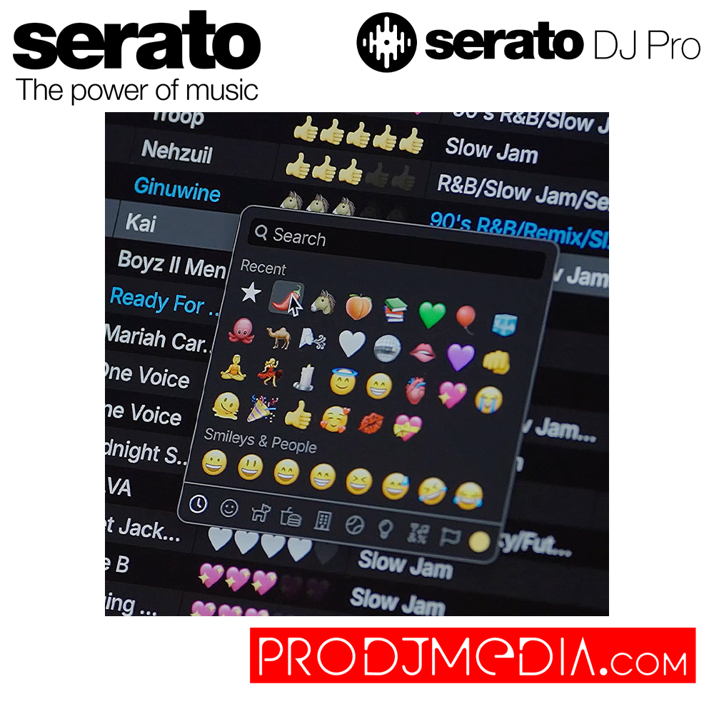 Serato Dj Pro - Imagen 6